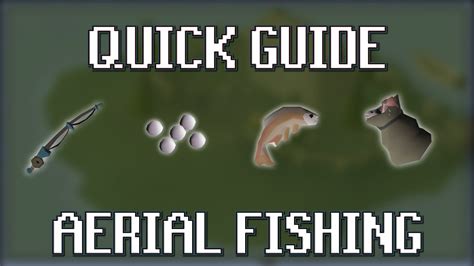 aerial fishing osrs|PSA for everyone doing aerial fishing for the first time in  .